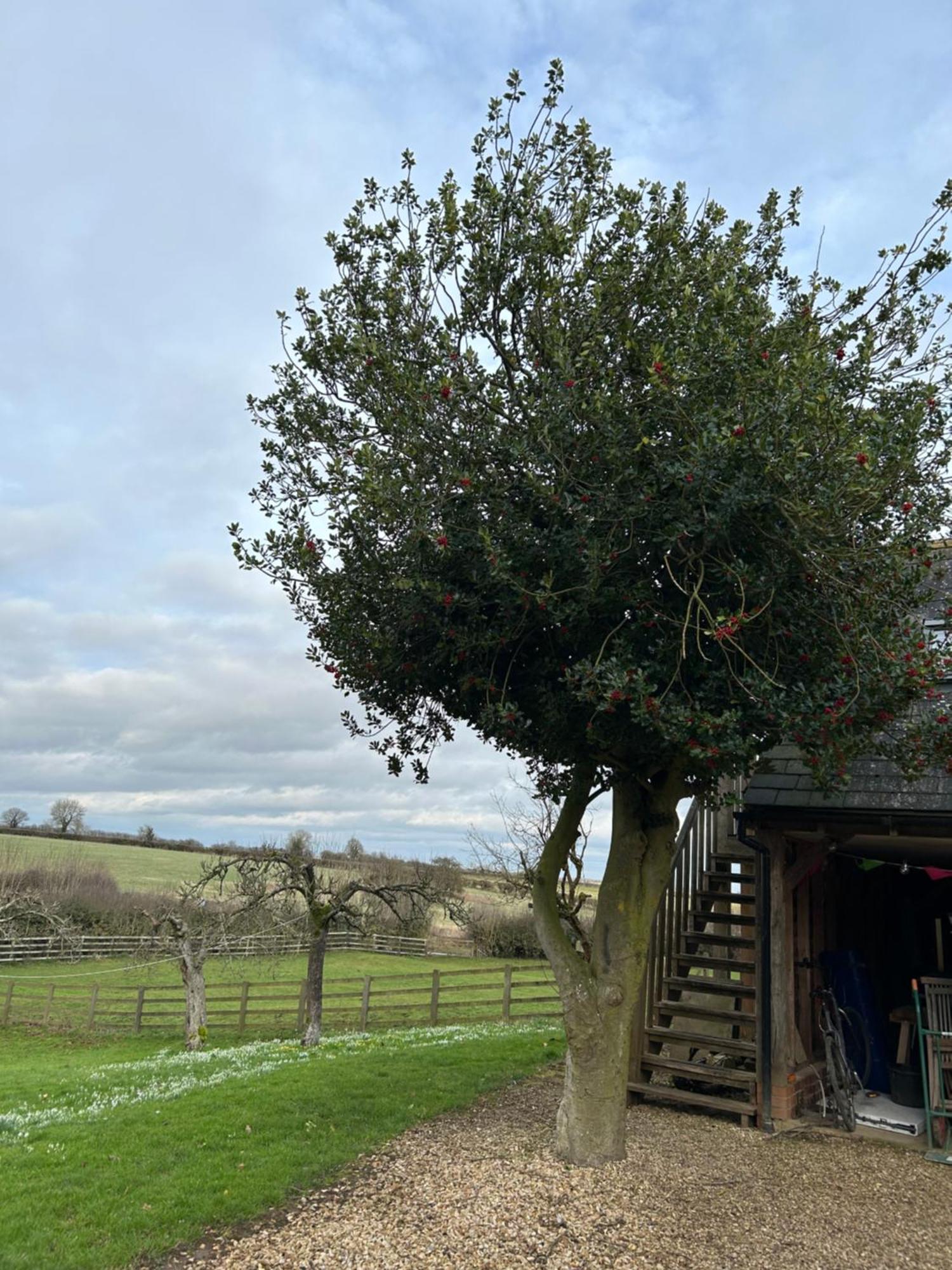 The Studio, Bottom Farm Bed and Breakfast Grantham Exterior foto